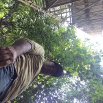 IMG-20160830-WA0021