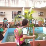 IMG-20160915-WA0053